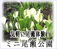 �~�j����