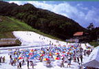 夏の雪祭り